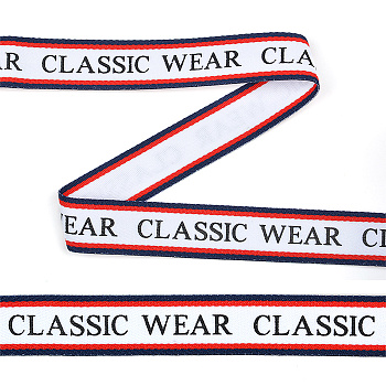 Тесьма-стропа декоративная TBY Classic wear арт.TPP03205 шир.20мм цв. белый уп.45,7м